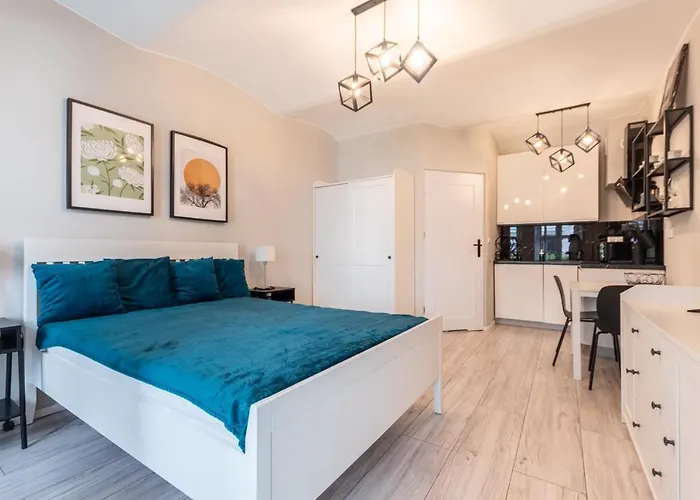 Starowislna 41 Apartament